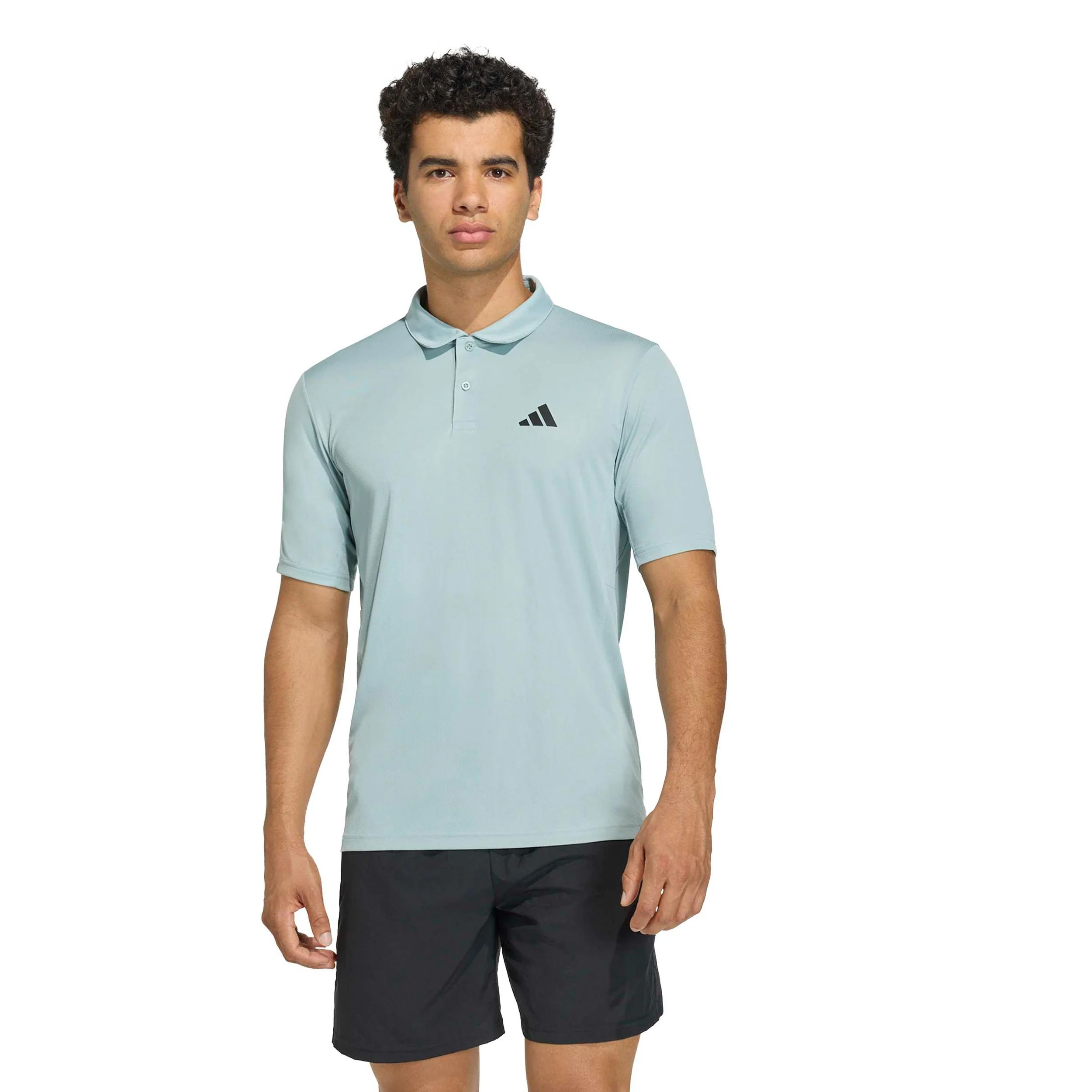 Basic Polo Mężczyźni-szałwia