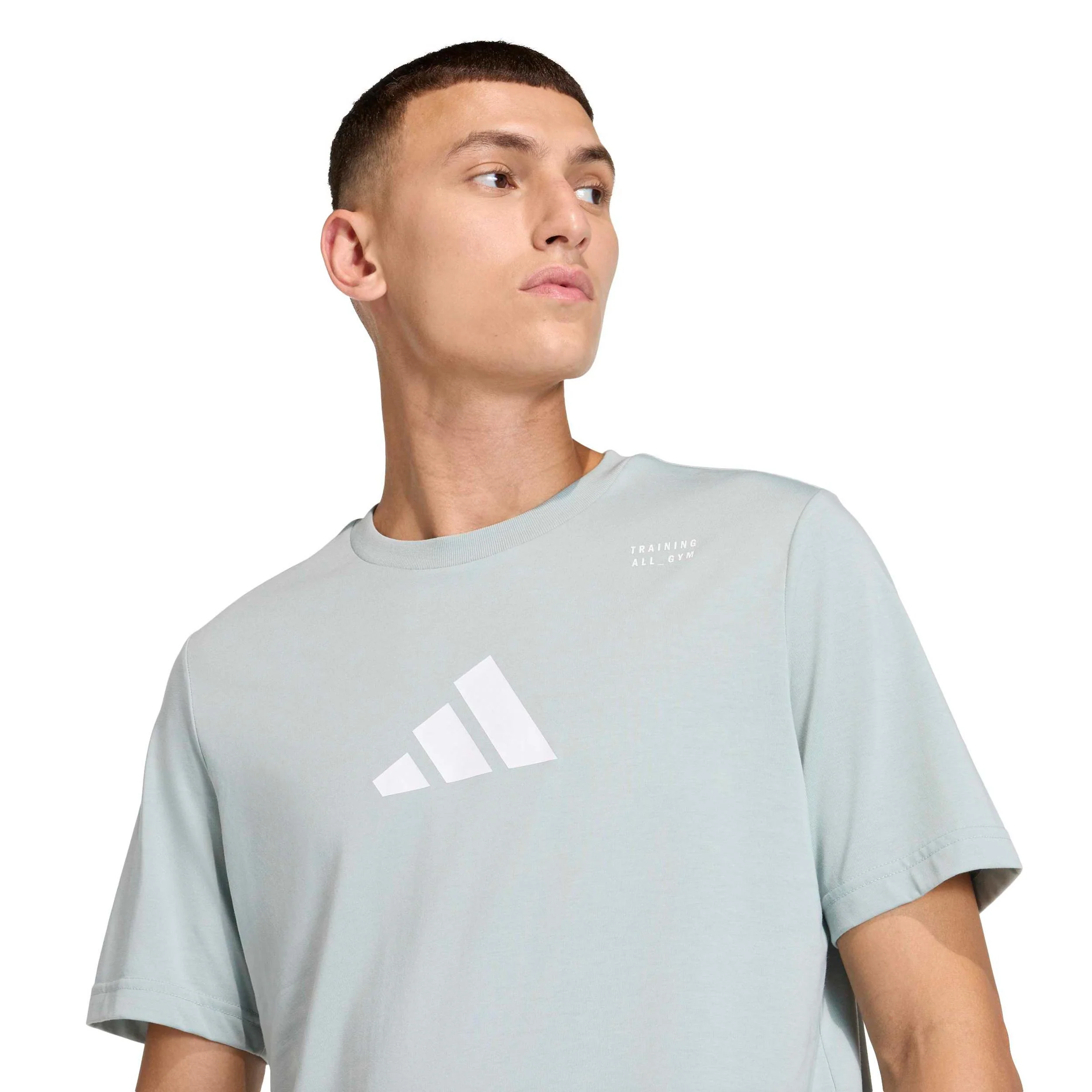 Climacool Category Graphic Koszulka Mężczyźni-szałwia - Image 6